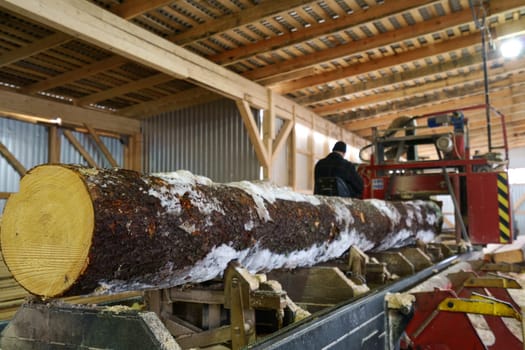 Close-up of log and worker controls machine on background