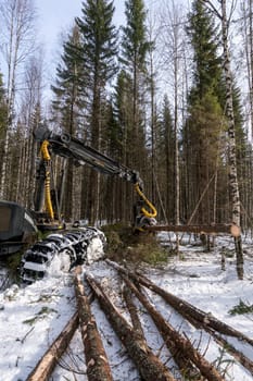 Image of log loader cutting tree in winter forest