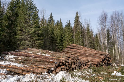 Forestry. Image of logs stacked in pile after felling