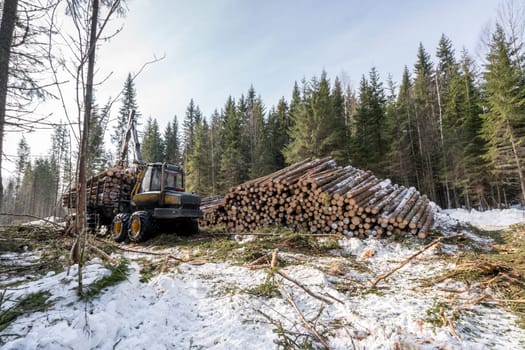 Image of truck loading trunks in winter forest