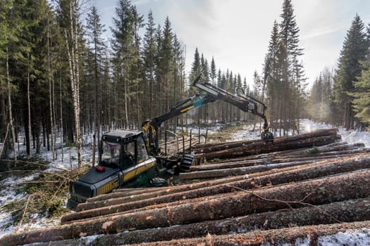 Forestry. Image of logger loads timber in winter woods