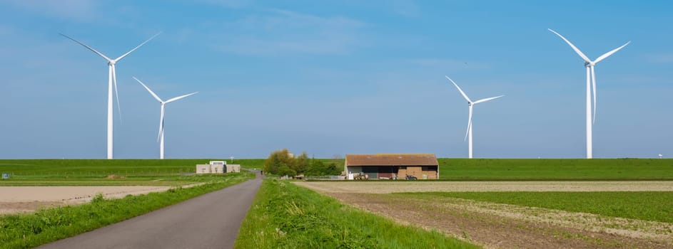 A road winds through a vast field, bordered by towering wind turbines in the background. The scene captures the harmony of nature and technology in motion. green energy Netherlands