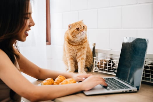 A young woman at her desk cuddles her adorable Scottish Fold cat while working on her laptop, exemplifying the concept of togetherness and pet companionship. A portrait of work-life balance.