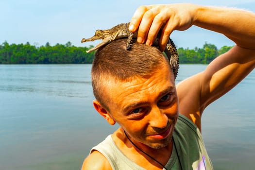 Man tourist with baby crocodile alligator in his hands at Bantota Ganga river in Bentota Beach Galle District Southern Province Sri Lanka.