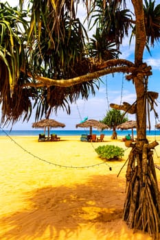 Beautiful beach with tropical nature sand water waves people fun parasols and sun loungers in Bentota Beach on Sri Lanka island.