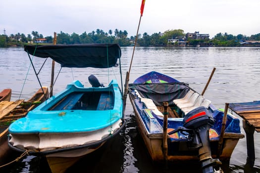 Boat safari trip through mangrove jungle forest pier harbor boats in Bentota Ganga River Lake in Bentota Beach Galle District Southern Province Sri Lanka.