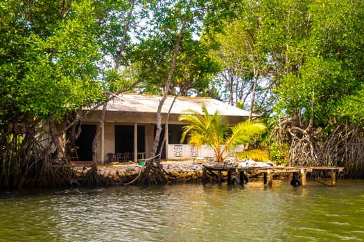 Boat safari trip jetty house boats through mangrove jungle forest in Bentota Ganga River Lake in Bentota Beach Galle District Southern Province Sri Lanka.