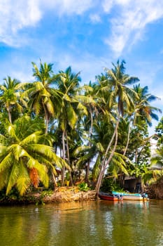 Boat safari trip jetty house boats through mangrove jungle forest in Bentota Ganga River Lake in Bentota Beach Galle District Southern Province Sri Lanka.