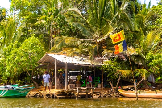 Boat safari trip jetty house boats through mangrove jungle forest in Bentota Ganga River Lake in Bentota Beach Galle District Southern Province Sri Lanka.