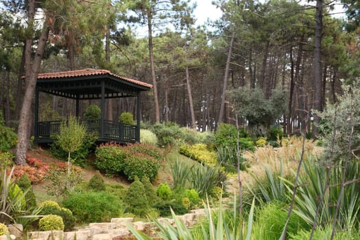 A gazebo nestled amidst vibrant greenery of a forest.