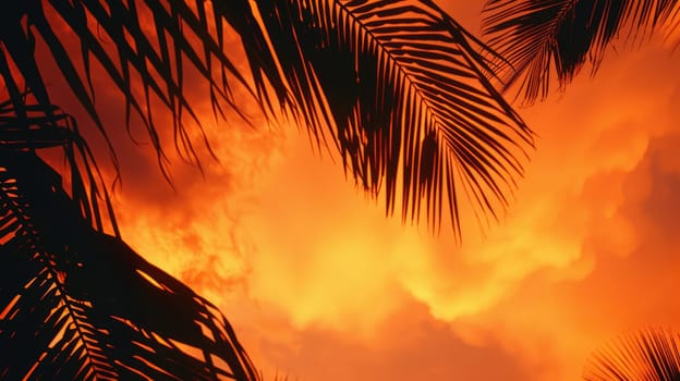 The silhouette of a palm trees leaves against the sunset sky creates a stunning landscape. This closeup view highlights the beauty of this terrestrial plant in the Arecales order AIG50