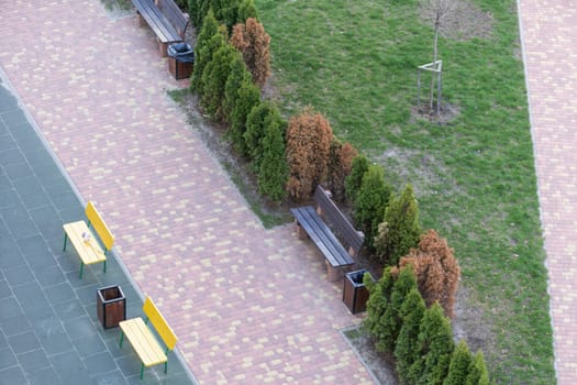 Stylized bench in a city park on a sunny day. High quality photo