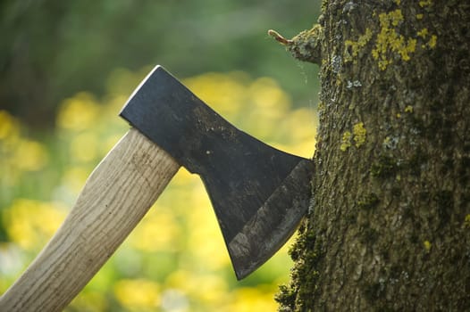 Hatchet or ax stuck in a tree stump against of blured forest background. Deforestation, forest clearance or firewood preparation for winter