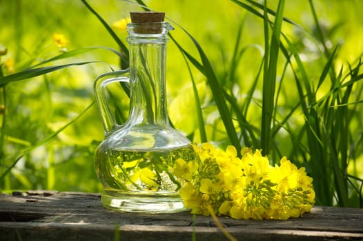 A transparent glass bottle, topped with a cork and brimming with oil, sits on a weathered wooden table next to a bunch of bright yellow rapeseed blossoms