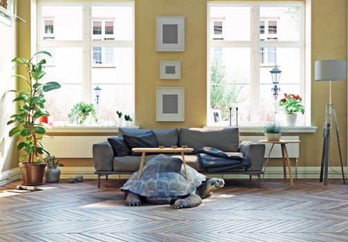 giant turtle as a base of the coffee table. Photo and media creative concept photo combination