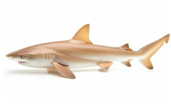 Profile shot of a brown shark cruising in clear waters with a neutral background