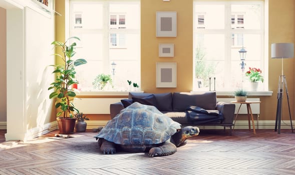 giant turtle in the living room. Photo and media creative concept photo combination