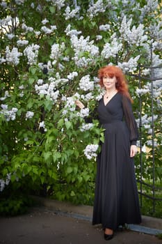 Elegant senior mature Woman in Black Dress by Blooming Lilac Bush at Dusk. Woman with red hair stands poised among lilac blooms
