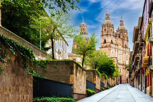 View of the Clerecia towers from Palominos Street in Salamanca