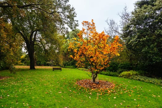 Royal Botanic Gardens Victoria on a cool autumn morning in Melbourne, Victoria, Australia