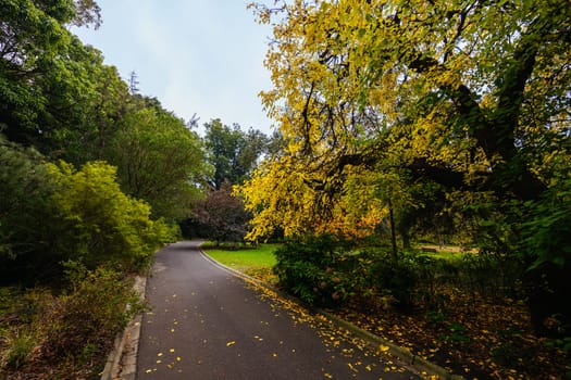 Royal Botanic Gardens Victoria on a cool autumn morning in Melbourne, Victoria, Australia