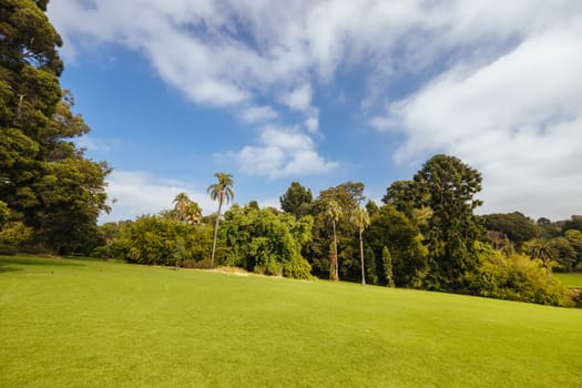 Royal Botanic Gardens Victoria on a cool autumn morning in Melbourne, Victoria, Australia