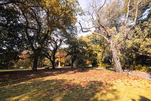 Royal Botanic Gardens Victoria on a cool autumn morning in Melbourne, Victoria, Australia