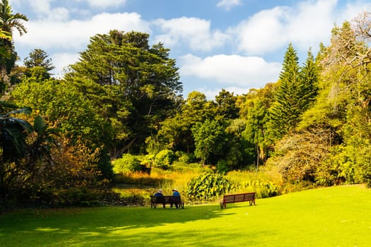 Royal Botanic Gardens Victoria on a cool autumn morning in Melbourne, Victoria, Australia