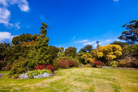 Royal Botanic Gardens Victoria on a cool autumn morning in Melbourne, Victoria, Australia