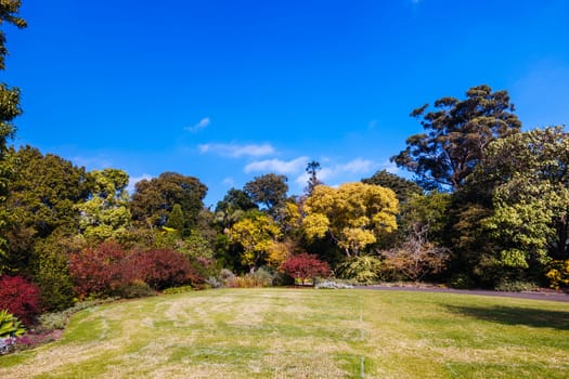 Royal Botanic Gardens Victoria on a cool autumn morning in Melbourne, Victoria, Australia