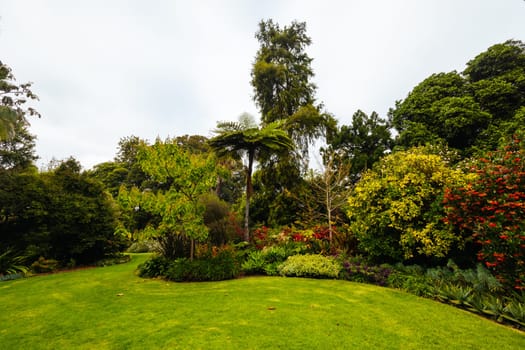 Royal Botanic Gardens Victoria on a cool autumn morning in Melbourne, Victoria, Australia