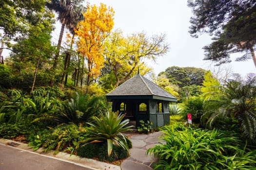 Royal Botanic Gardens Victoria on a cool autumn morning in Melbourne, Victoria, Australia