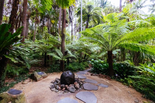 Fern Gully at Royal Botanic Gardens Victoria on a cool autumn morning in Melbourne, Victoria, Australia