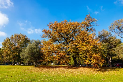 The Shrine of Remembrance and surrounding parklands and gardens during autumn at the Royal Botanic Gardens Victoria in melbourne, Victoria, Australia