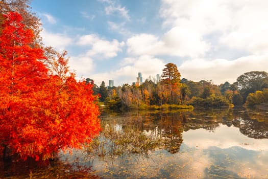 Royal Botanic Gardens Victoria on a cool autumn morning in Melbourne, Victoria, Australia