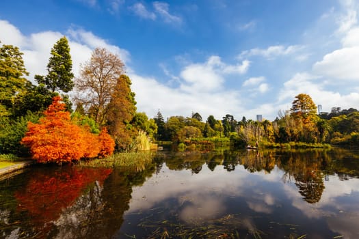 Royal Botanic Gardens Victoria on a cool autumn morning in Melbourne, Victoria, Australia