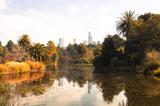 Royal Botanic Gardens Victoria on a cool autumn morning in Melbourne, Victoria, Australia