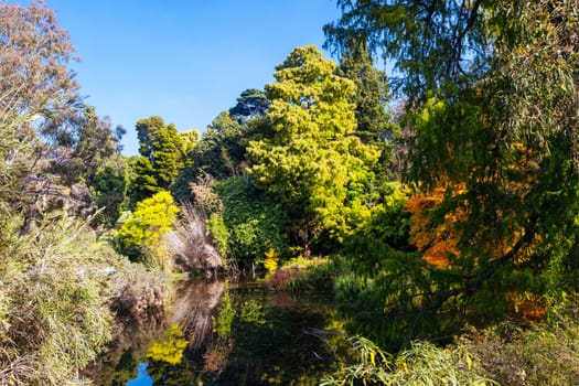 Royal Botanic Gardens Victoria on a cool autumn morning in Melbourne, Victoria, Australia