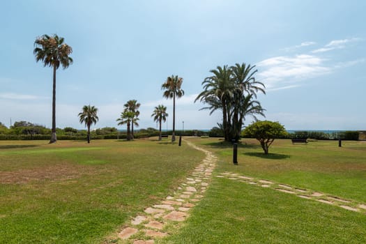 A peaceful park pathway lined with palm trees gently leads to the calming sea.