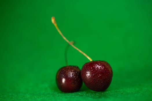 two ripe cherries on a green background.