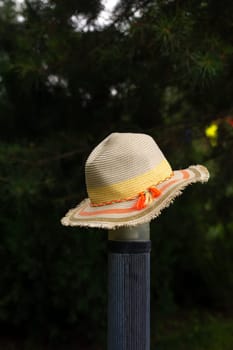 hat on the background of trees in the garden.