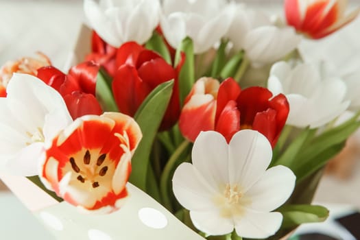 Celebration of Beauty: Tulips in Close-up as a Gift for March 8th