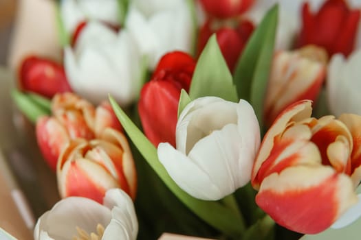 Floral Magic: Close-up of Tulip Bouquet for the Spring Holiday