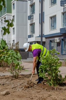 Man in purple shirt and vest using shovel to plant small tree. Residential area with apartment buildings in background.