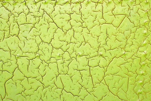 Green paint cracked texture on solid background. Textured backdrop. Texture, pattern, background design for banner, poster.