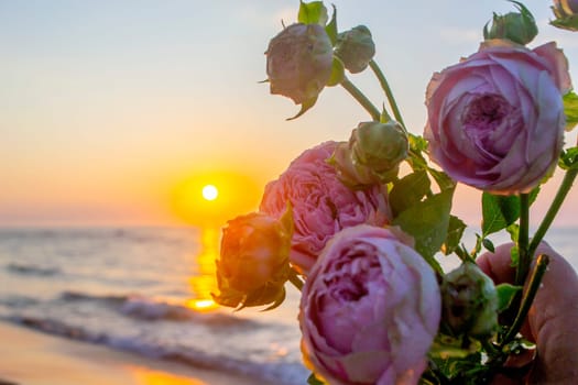 Rose flowers lying on sand of beach of sea shore coast at sunset dawn close-up. Blossoming blooming flowers of pink roses on sand of sea coast with setting rising sun. Romance mood romantic concept