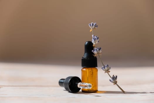 Glass bottle dropper with dried lavender flowers. Wild harvested essential oil beauty product. Organic herbs skincare ingredient environmentally friendly. Copy space