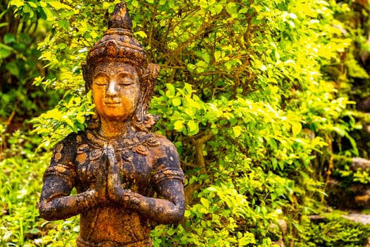 Buddha sculpture figure statue at golden gold Wat Phra That Doi Suthep temple temples building in Chiang Mai Amphoe Mueang Chiang Mai Thailand in Southeastasia Asia.