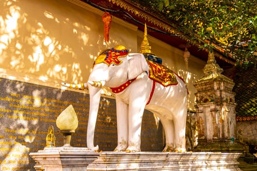 Elephant sculpture at golden gold Wat Phra That Doi Suthep temple temples building in Chiang Mai Amphoe Mueang Chiang Mai Thailand in Southeastasia Asia.