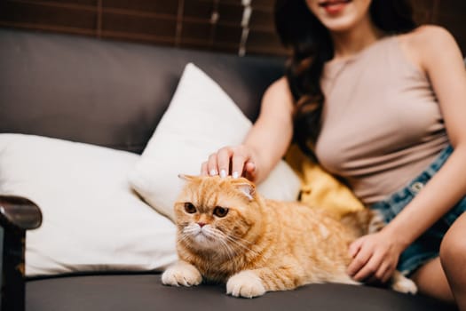On an autumn day, a cheerful young Asian woman is resting at home on a sofa with her Scottish Fold tabby cat. She is stroking her cute ginger pet, and the moment is filled with togetherness and joy.